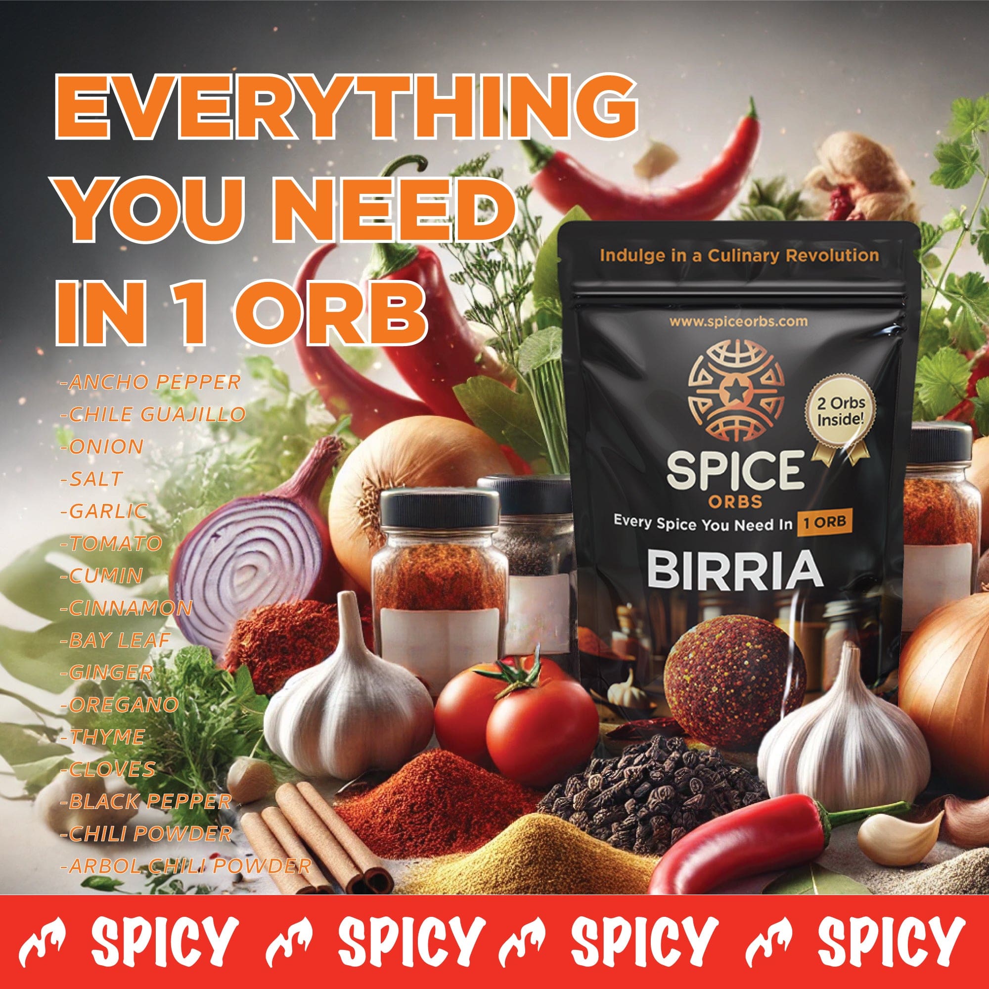 Large SPICY Birria Spice Orbs - Pack of 2